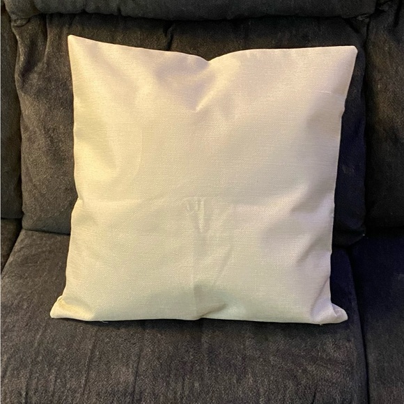 16x 16 inch pillow and seasonal pillow cover - Picture 5 of 5